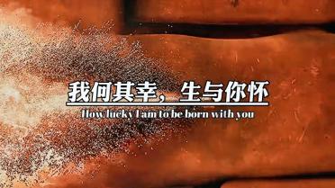 无双大蛇3