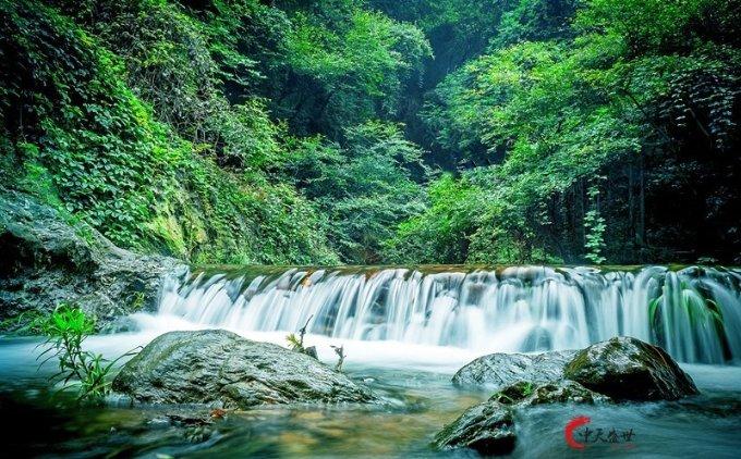 莫雷岛逃脱